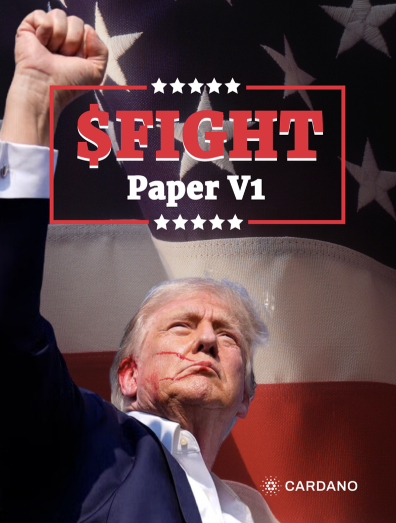 Fight Paper V1